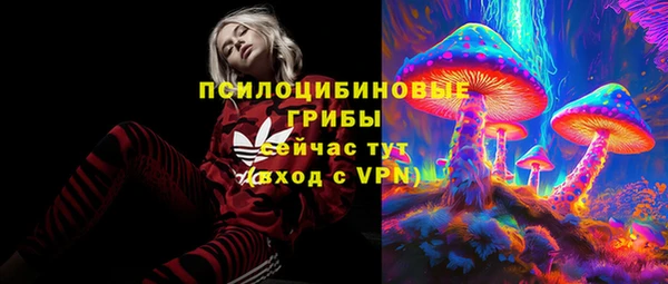 стаф Красноперекопск